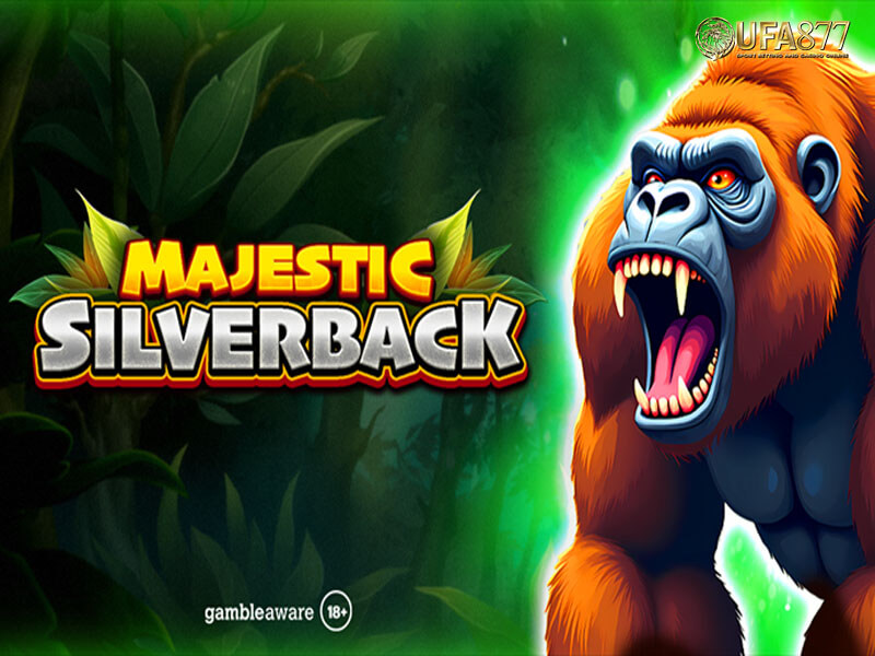 Majestic Silverback