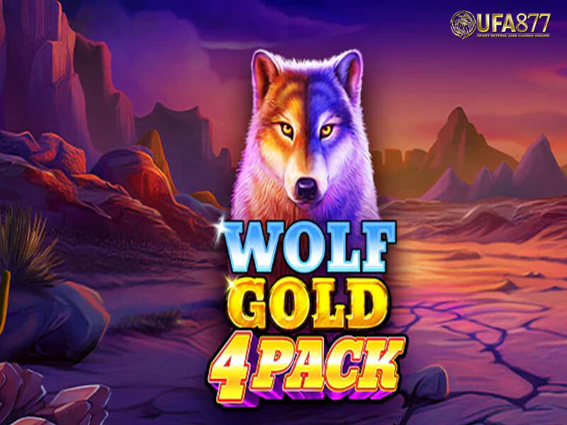 Wolf Gold 4 Pack